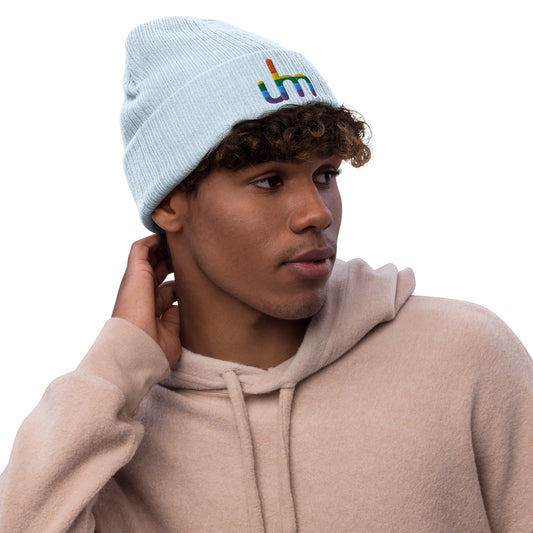 Uhm Ribbed knit beanie